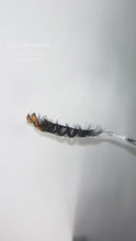 Load and play video in Gallery viewer, Spice Baby Mink Lash